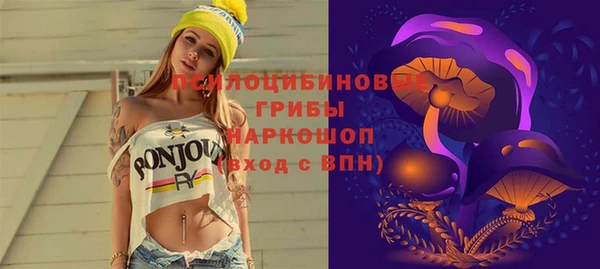 сатива Лагань