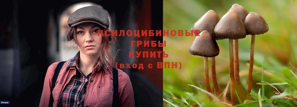 не бодяженный Ладушкин