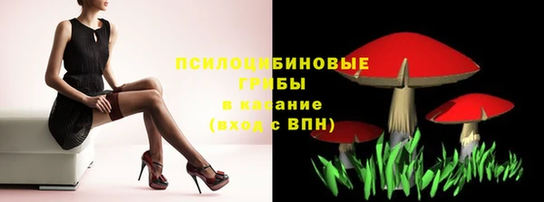 не бодяженный Ладушкин