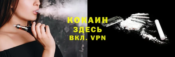 не бодяженный Ладушкин
