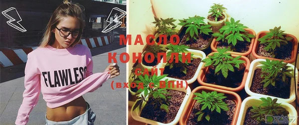 не бодяженный Ладушкин