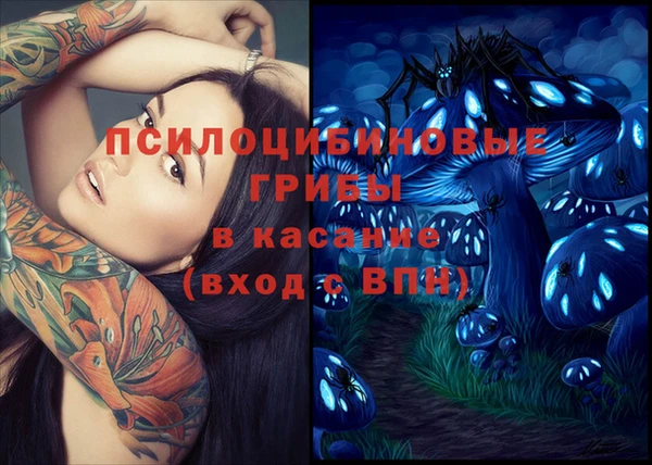 сатива Лагань