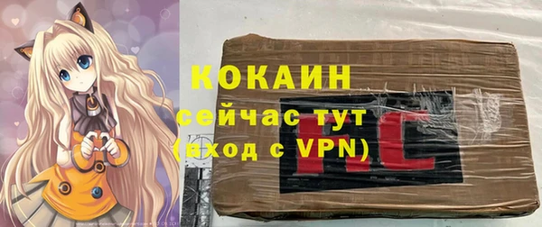 не бодяженный Ладушкин