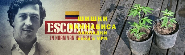 не бодяженный Ладушкин