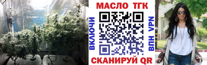 ТГК гашишное масло  купить закладку  Ядрин 