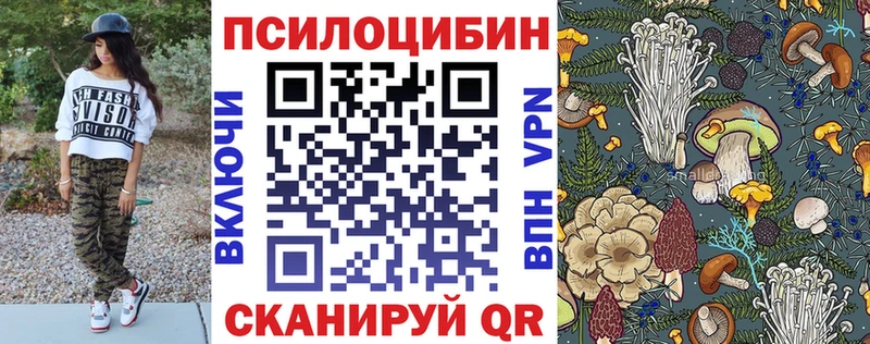 Псилоцибиновые грибы мухоморы  гидра ТОР  Ядрин 